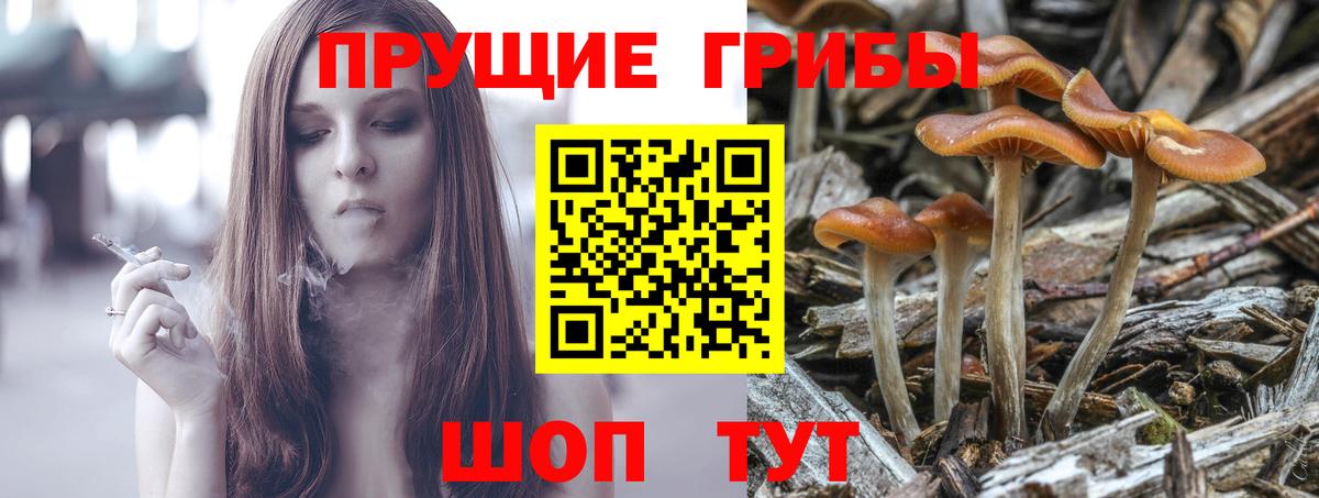 Галлюциногенные грибы ЛСД  Вход с VPN  Мариинск  купить наркоту  Псилоцибиновые грибы мицелий 